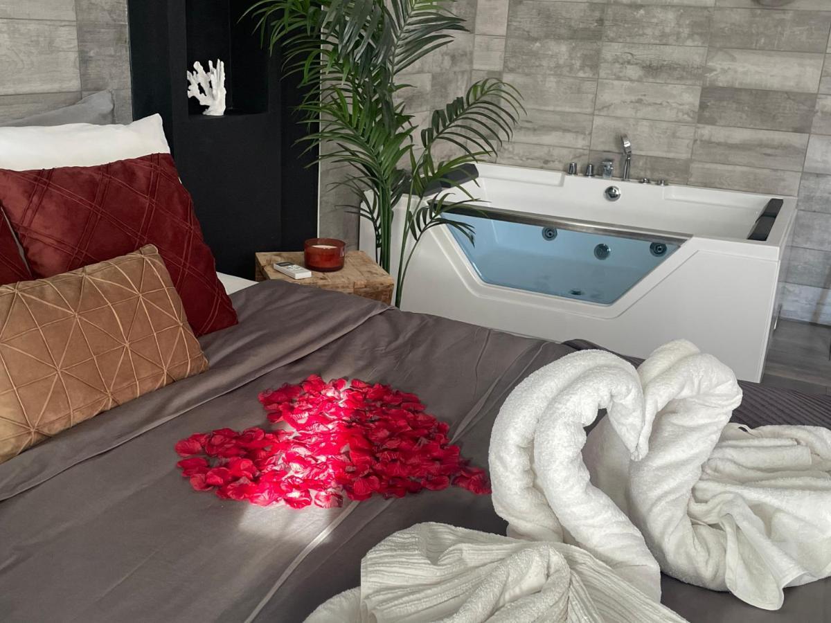 Superbe Appartement Avec Balneo. Saint-Cyprien  Exteriör bild