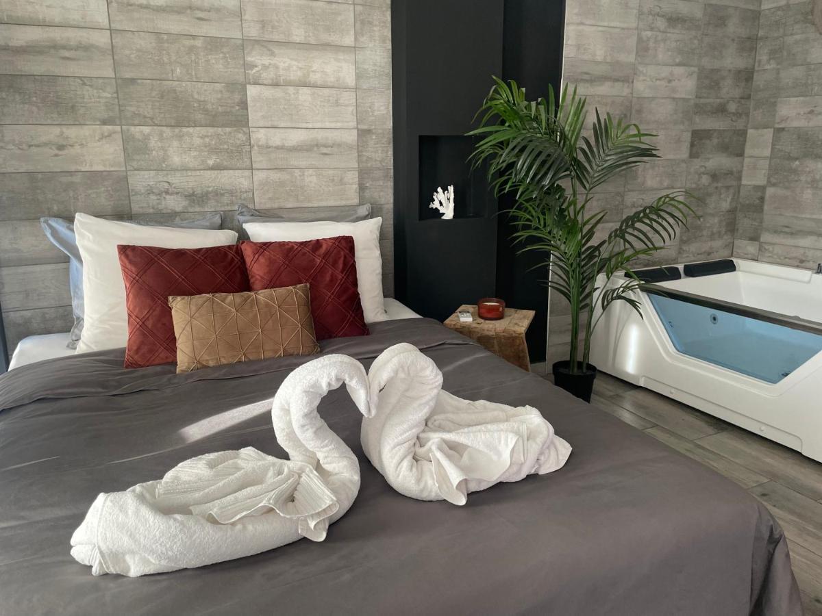 Superbe Appartement Avec Balneo. Saint-Cyprien  Exteriör bild