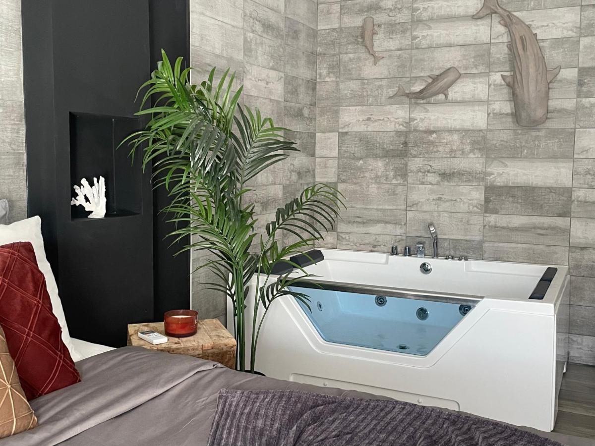 Superbe Appartement Avec Balneo. Saint-Cyprien  Exteriör bild